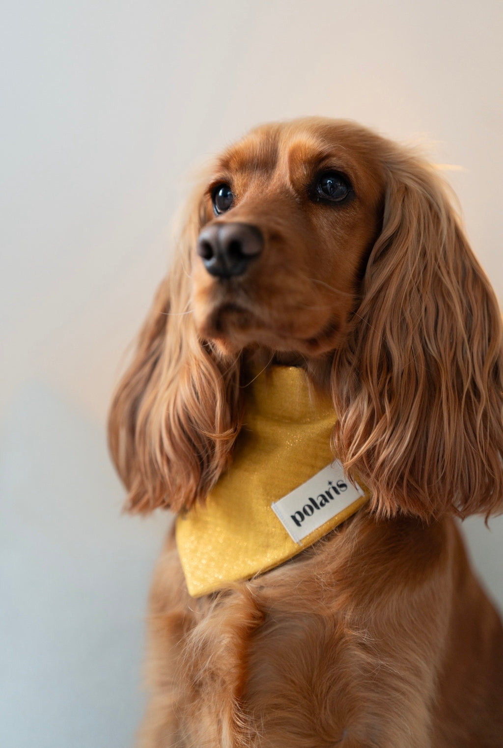 Bandana Quartz Solar 🌞