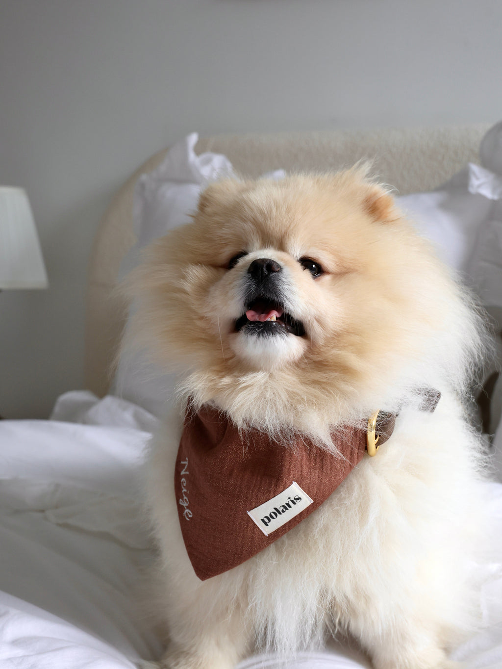 Bandana Palo Santo 🕯️