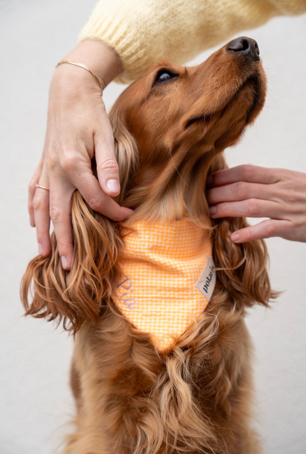 Bandana Spritz 🍊