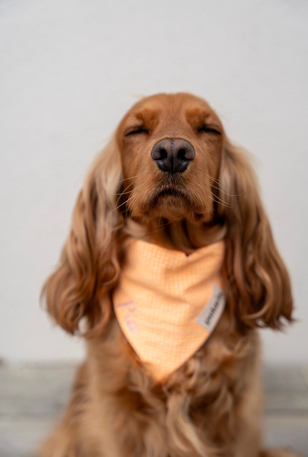 Bandana Spritz 🍊