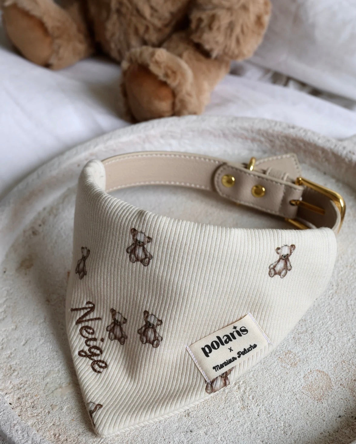 Bandana Teddy 🧸
