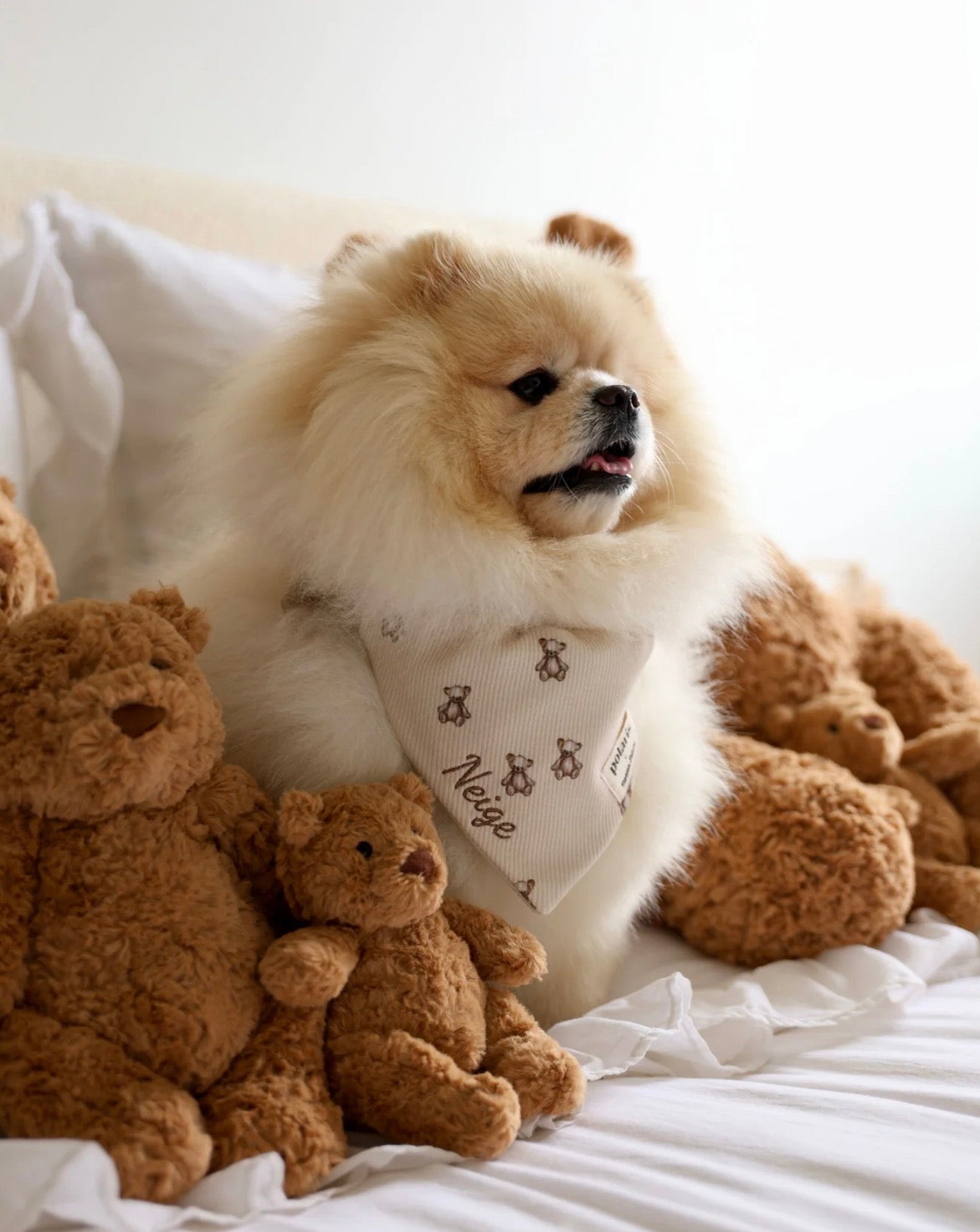 Bandana Teddy 🧸