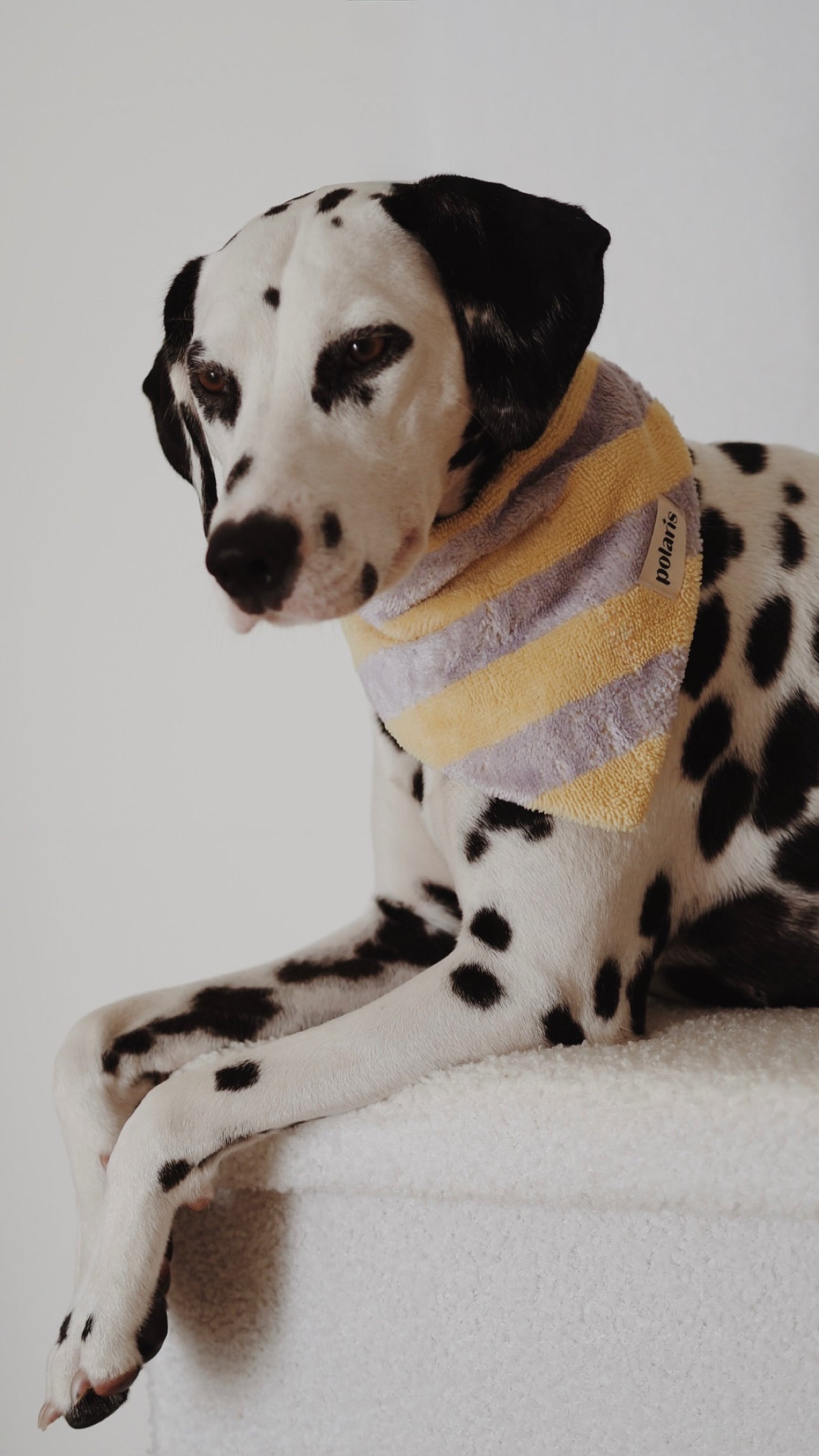 Bandana Provence 💜