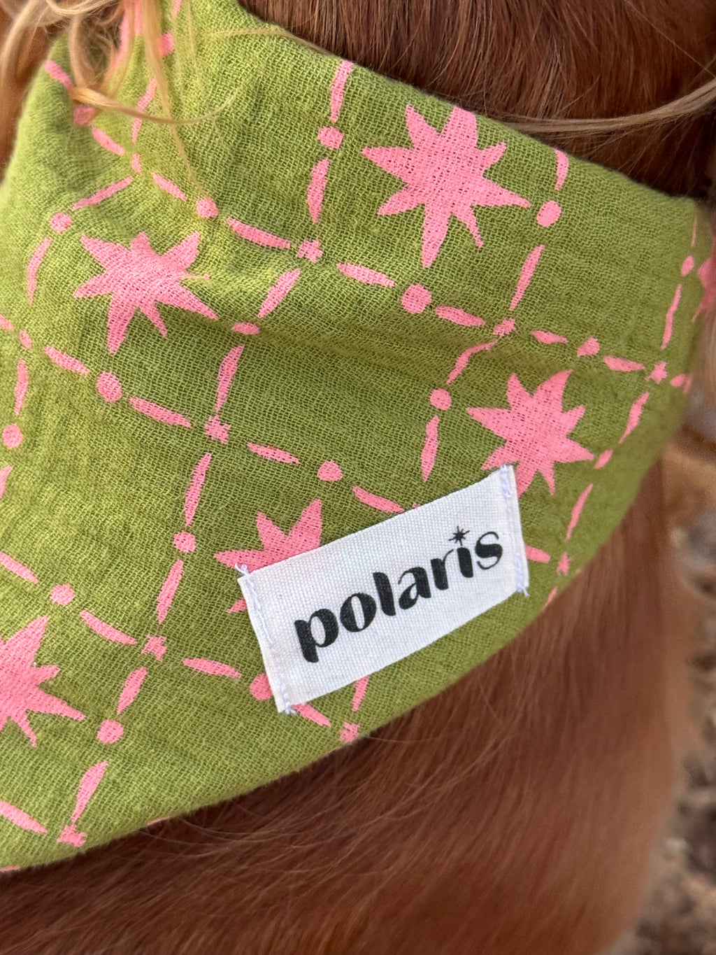 Bandana Polaris 💕