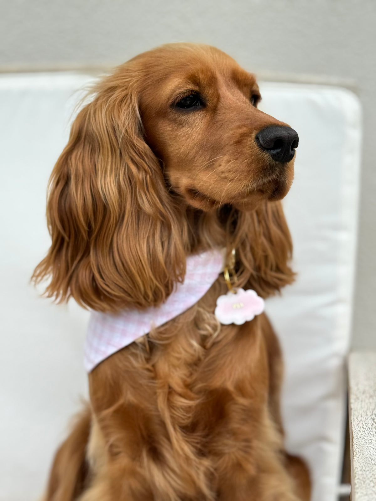 Bandana Vichy 🩰