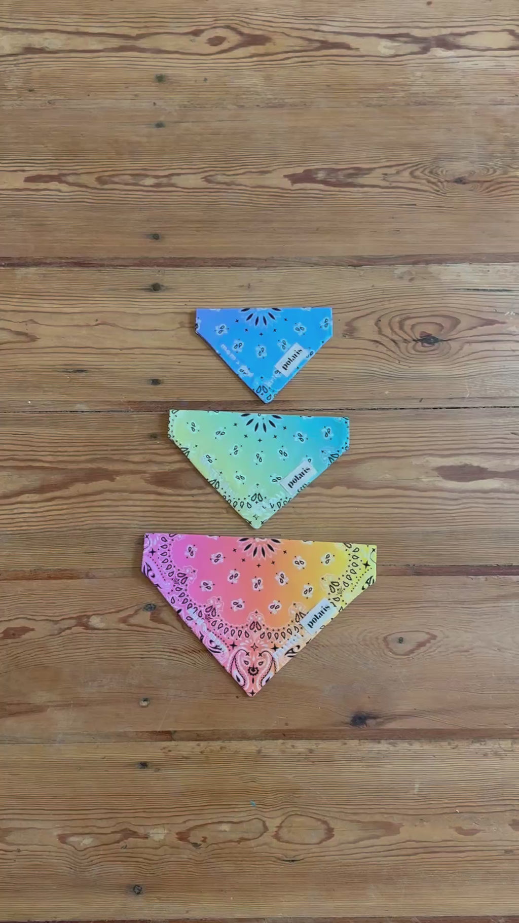 Bandana l'Appartement Polaris 🤎